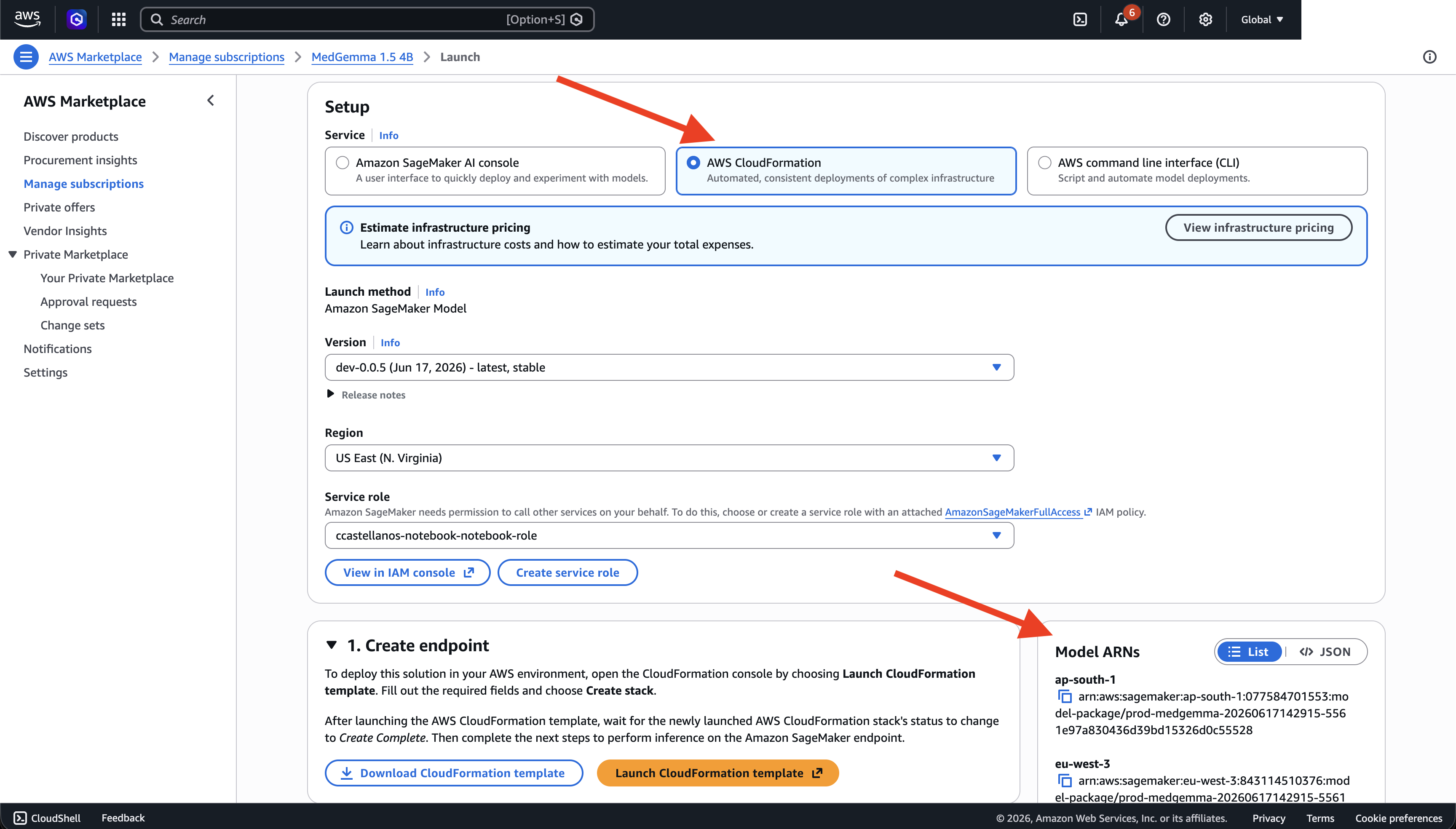 Setup page with AWS CloudFormation selected and the Model ARNs panel on the right